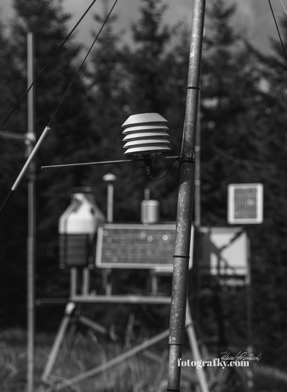 Markéta Srbová, redaktorka