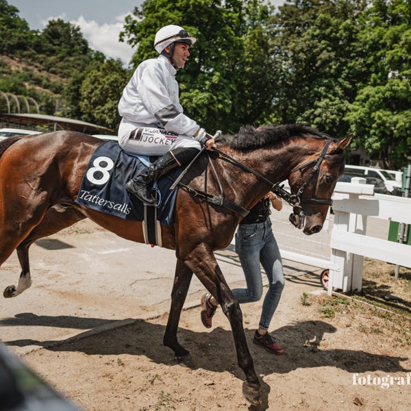 český dostihový jockey Janáček v dostihu ve Velké Chuchli